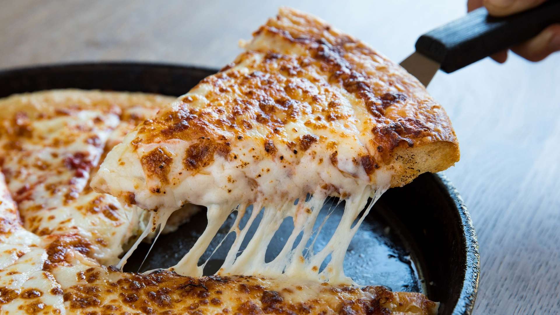 青少年培养 青少年培养